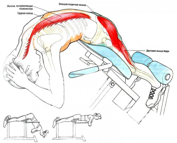 Тренажер гиперэкстензия своими руками чертежи и размеры