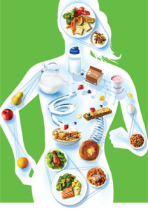 основные правила и принципы здорового питания