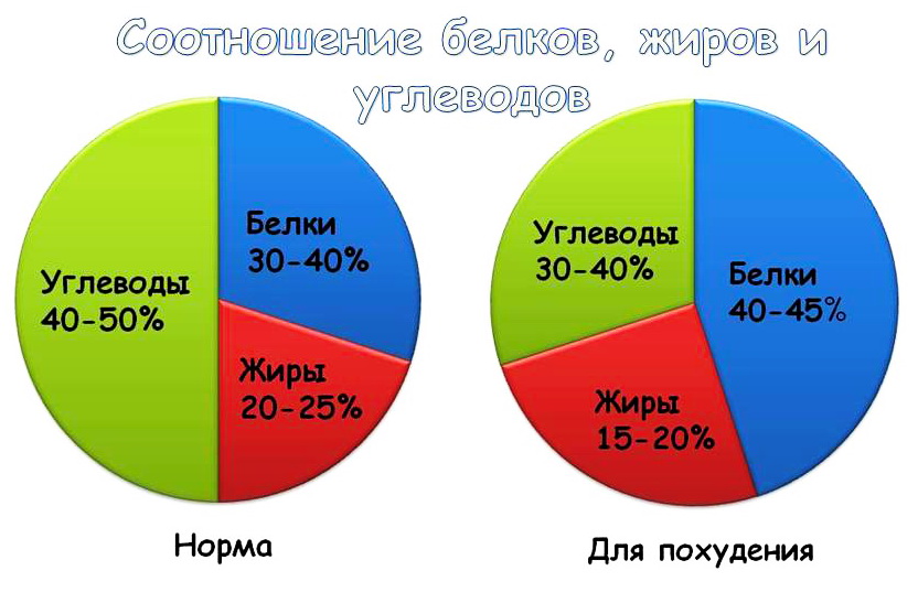 Питание 16 8 схема для женщин с 10 утра