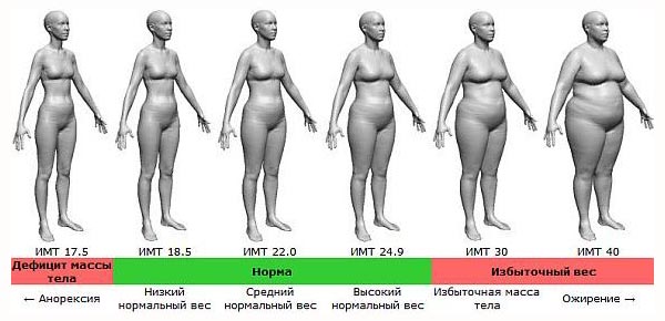 калькулятор расчета индекса массы тела для женщин